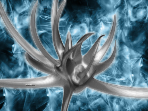 7103 (a): :1600x1200